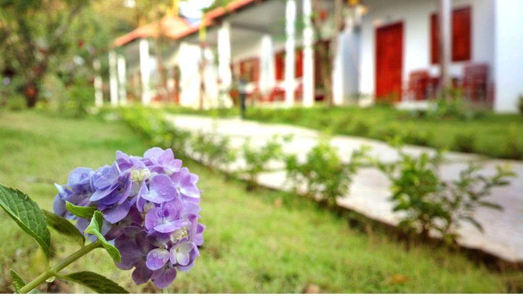 Highland Bungalow Phu Quoc Luaran gambar