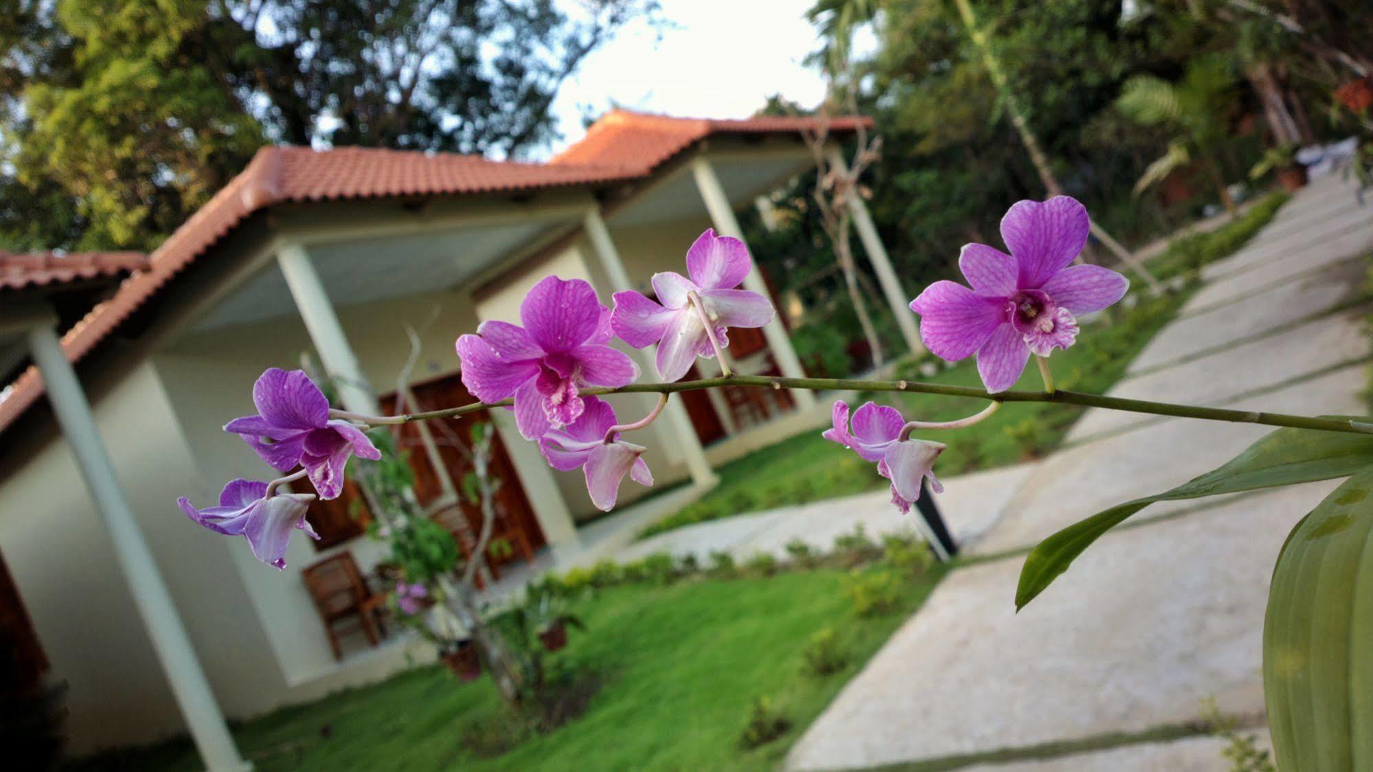 Highland Bungalow Phu Quoc Luaran gambar